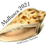 Molluscs2021