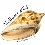 Molluscs2021
